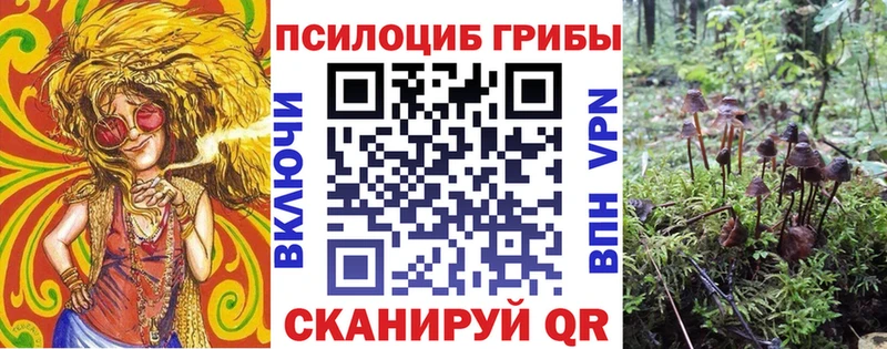 Псилоцибиновые грибы MAGIC MUSHROOMS  цены   Ржев 
